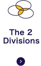 The 2 Divisions